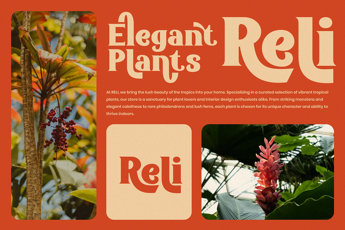 Murillino – Retro Serif Font, a Serif Font by Flawless And Co (Photo 4 of 10)