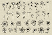 Daisy Procreate Stamp, a Brush Add-On by Dervik Art Store (Thumbnail 3 of 6)