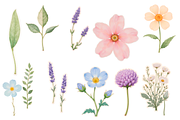 Botanical Bug Clipart Set, an Object Illustration by Jakayla Digital Co (Thumbnail 3 of 7)