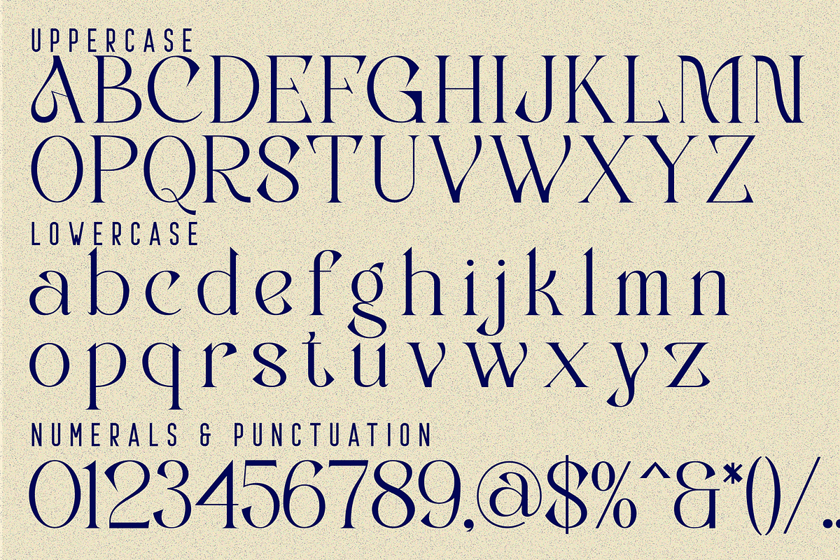 Generating Metaphors - Elegant Serif, a Serif Font by 177Studio (Photo 8 of 8)