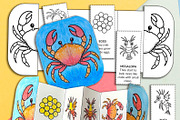 Foldable Life Cycle Bundle, a Stationery Template by AIW SOLUTIONS (Thumbnail 6 of 11)