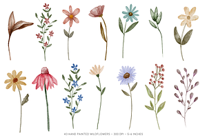 Painted Watercolor Flowers Clipart