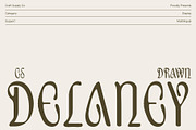 CS Delaney Drawn, a Serif Font by Craft Supply Co. (Thumbnail 1 of 8)