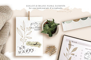 Florals & You Botanical Drawings, a Decorative Illustration by Pigment Café (Thumbnail 3 of 5)