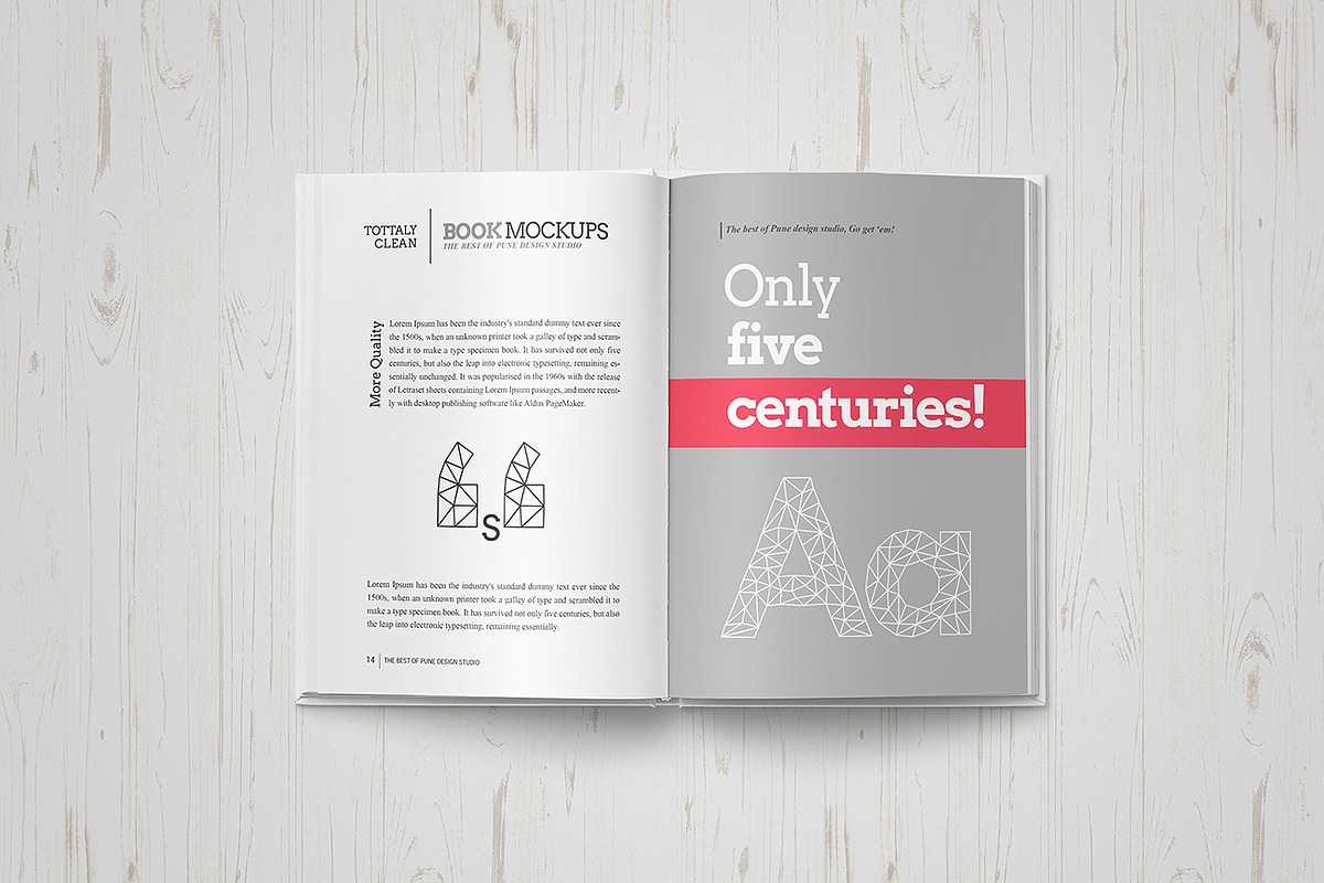Book Mock-Up / Hardcover Edition, a Books & Magazine Mockup by PuneDesign (Photo 7 of 13)