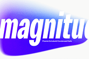 Premis Straightforward Sans Family, a Sans Serif Font by Fenotype (Thumbnail 8 of 13)