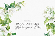 Watercolor Bougainvillea &Hydreangea, a Decorative Illustration by ThaismotaCreativeCo (Thumbnail 6 of 11)