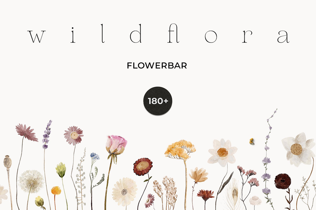 BUNDLE Vol.3 - 5000 graphics 27 in 1, a Decorative Illustration by Lana Elanor (Photo 7 of 30)