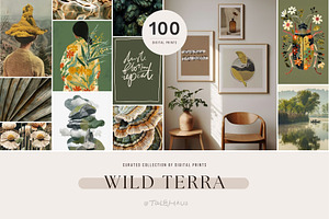 Wild Terra | 100 wall art prints, a Decorative Illustration by Tale.Haus