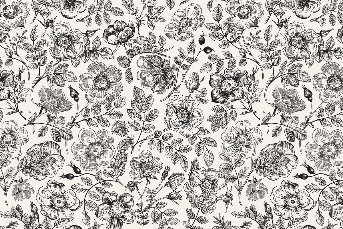 Wild Roses, a Decorative Illustration by olga.korneeva (Photo 16 of 24)