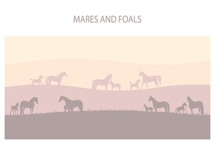 Mares and foals