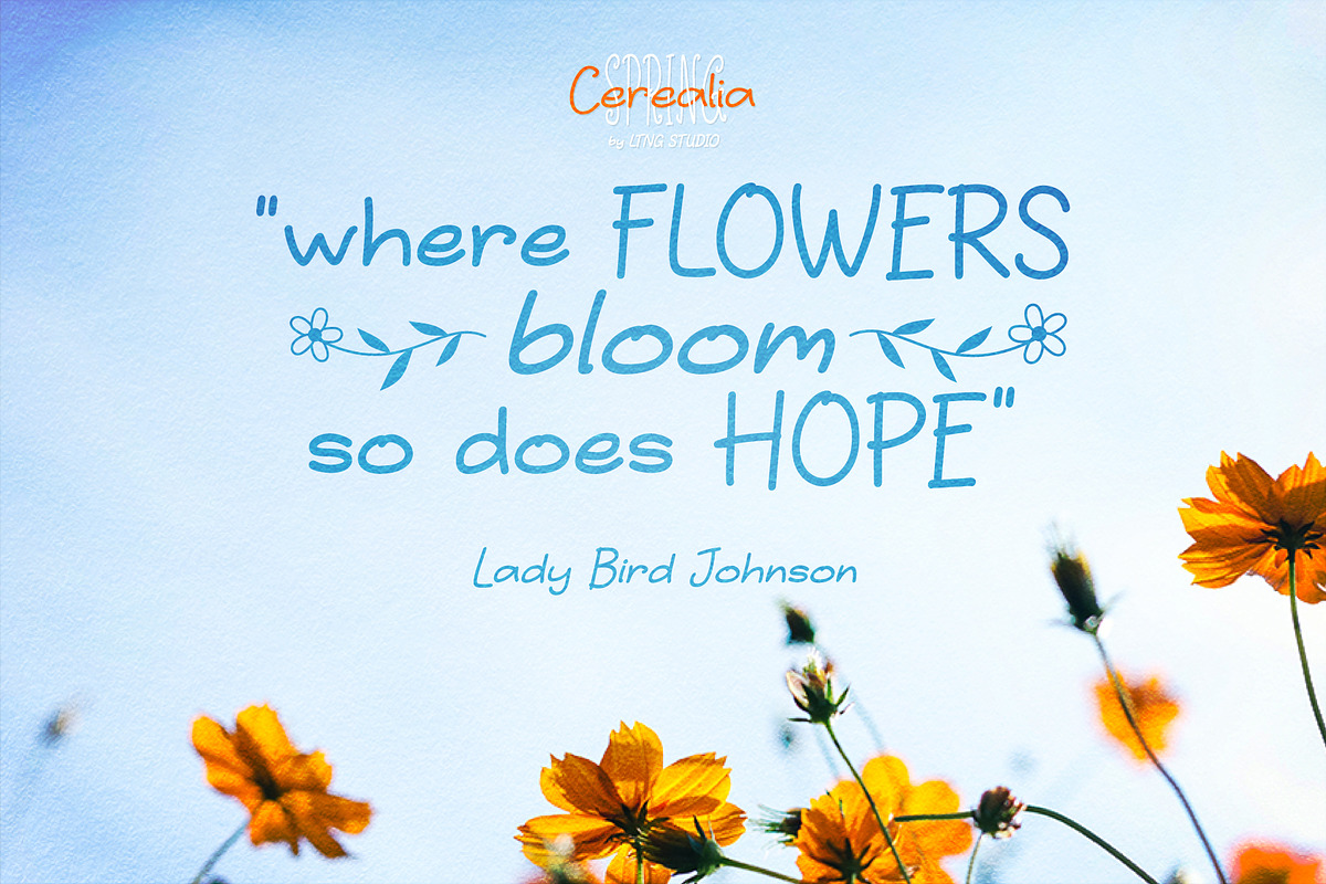 Cerealia Spring Handwritten Font Duo, a Handwritten Font by LTNG STUDIO (Photo 7 of 8)