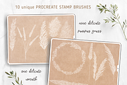 Pampas Grass Procreate Brushes, a Brush Add-On by Oh Mia Studio (Thumbnail 2 of 3)