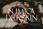 Maroon - Luxury Font, a Sans Serif Font by Umitype (Thumbnail 10 of 10)