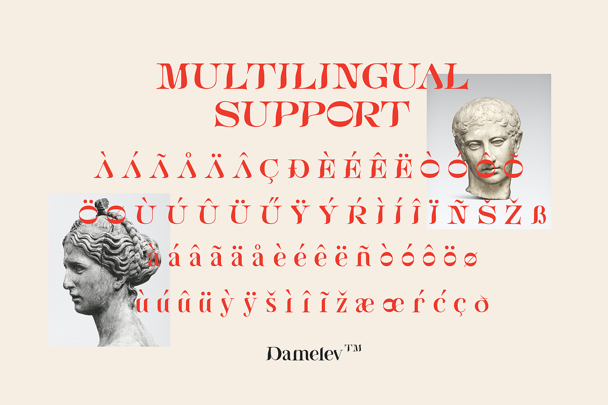 Bornice Modern Serif, a Serif Font by Damelev (Photo 12 of 13)