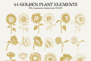 Sunflowers PNG, EPS, AI, SVG, a Graphic by Elena_Sedova (Thumbnail 3 of 9)