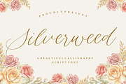Silverweed - Calligraphy Script Font, a Script Font by Balpirick Studio (Thumbnail 1 of 7)