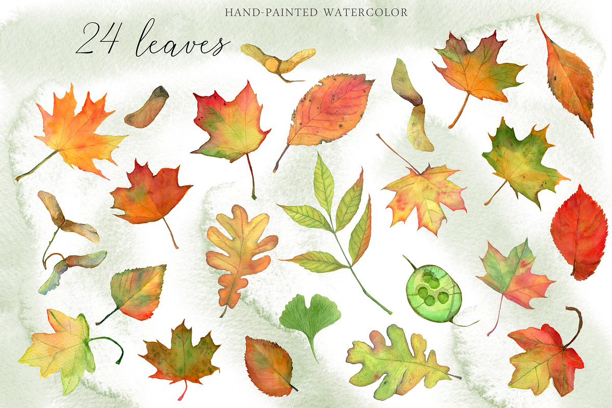 Watercolor: set of forest elements, a Graphic by WatercolorAnn (Photo 2 of 13)