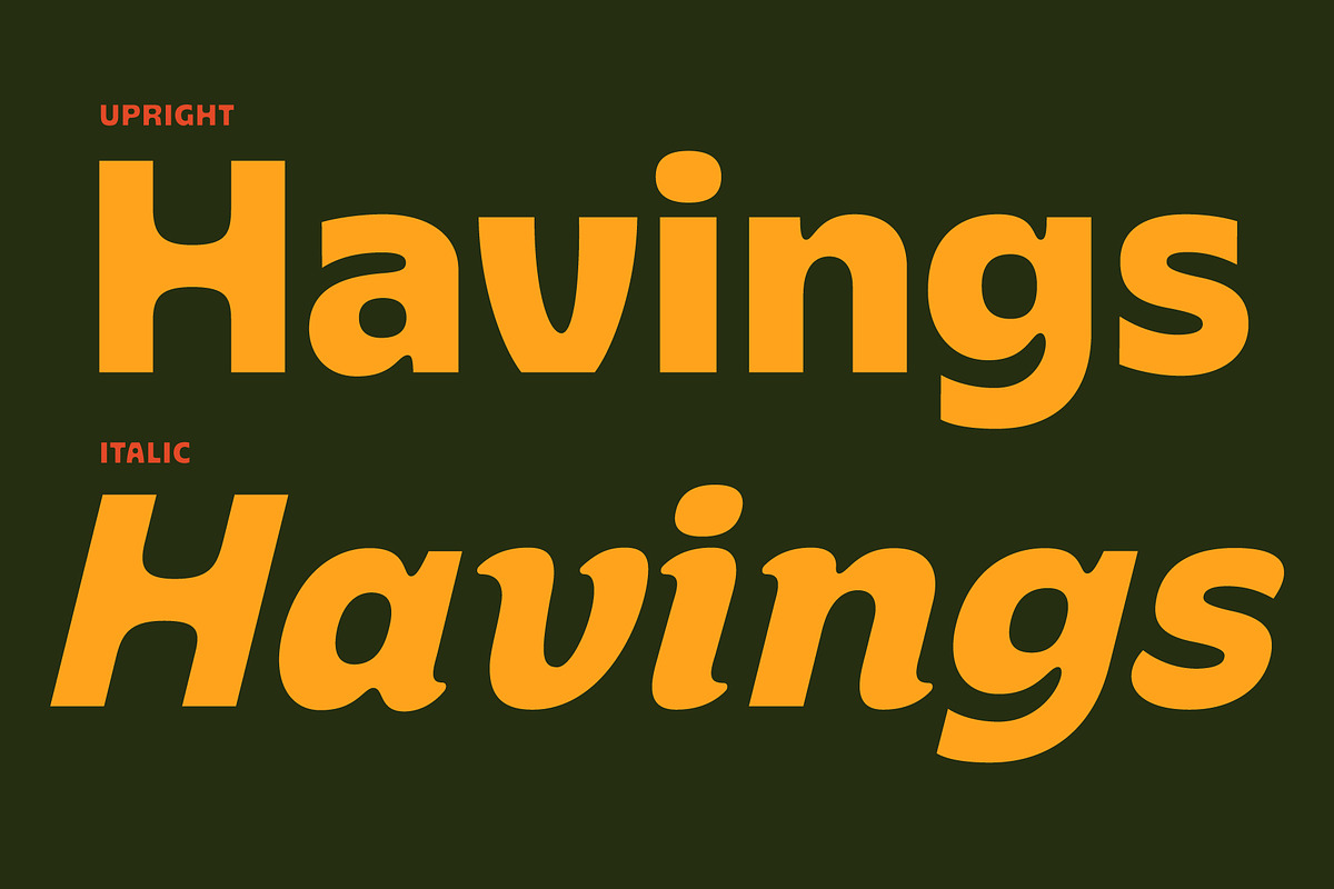 Orlive, a Sans Serif Font by Flavortype (Photo 2 of 15)