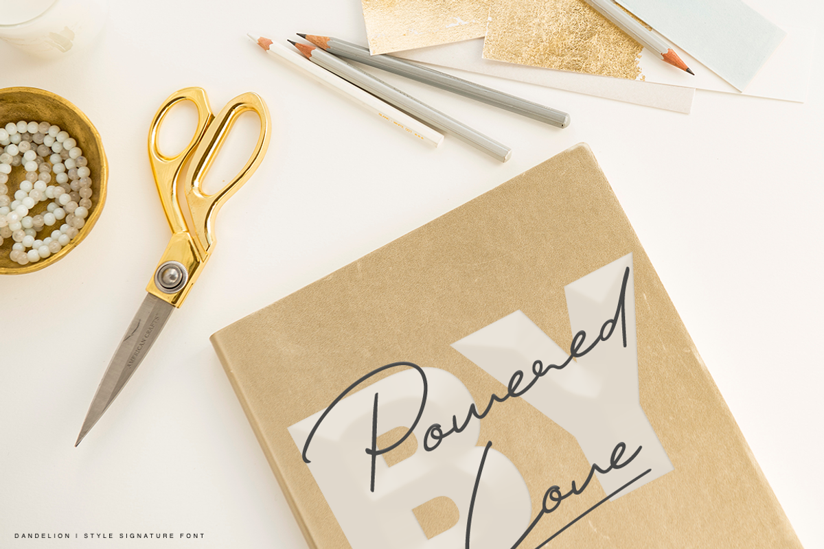 Dandelion, a Script Font by Larin Type Co. (Photo 12 of 14)