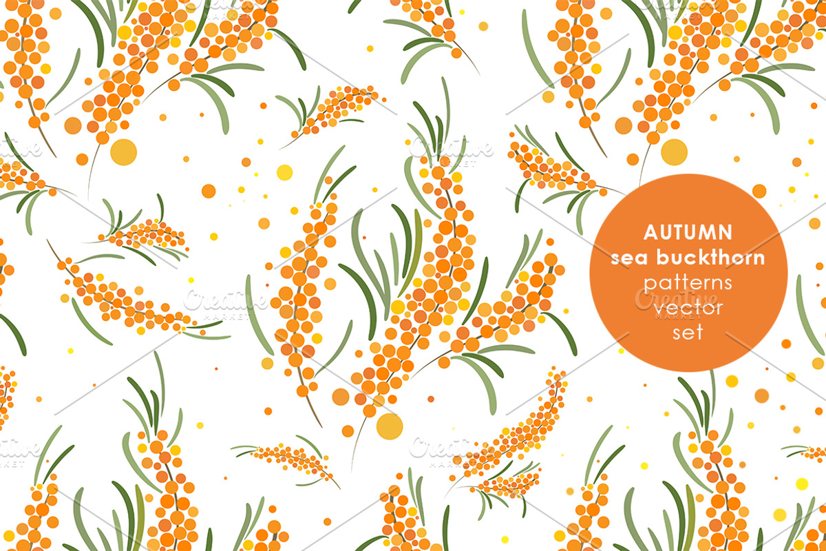 Sea buckthorn patterns set., a Pattern Graphic by xgart (Photo 1 of 4)