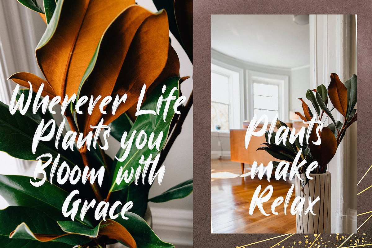 Ayus - Handbrush Script Font, a Handwritten Font by StringLabs (Photo 7 of 12)