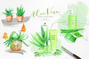 Fresh Watercolor Aloe Vera Set, a Healthcare Illustration by beehouse studio (Thumbnail 4 of 9)