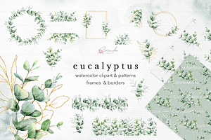 Eucalyptus Watercolor