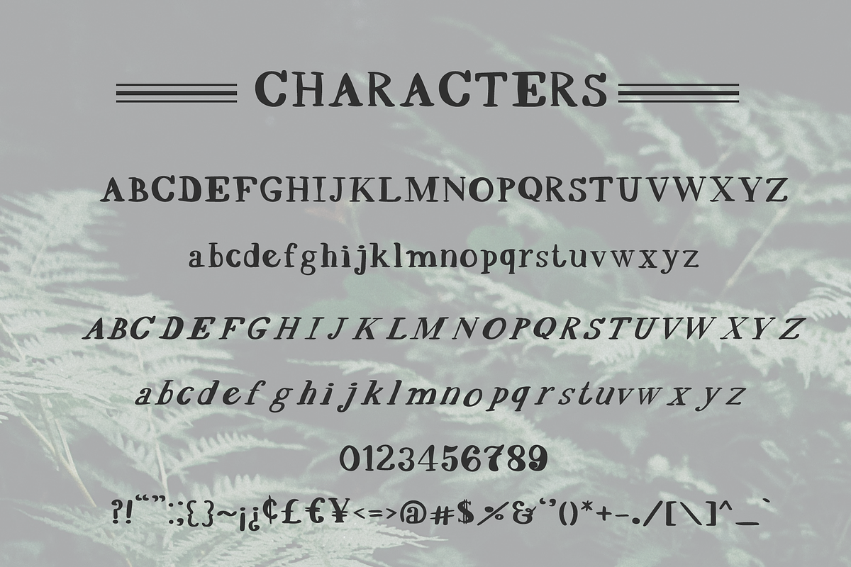 SCRAWNY EVE Hand Drawn Serif preview 5