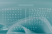 Akiho Faranea - Serif Display Family, a Serif Font by Differentialtype (Thumbnail 9 of 11)