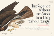 Rechgart, a Serif Font by Aluyeah Studio (Thumbnail 9 of 15)