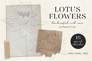 Lotus Blooms & Floral Arrangements, an Illustration by Pigment Café (Thumbnail 1 of 3)