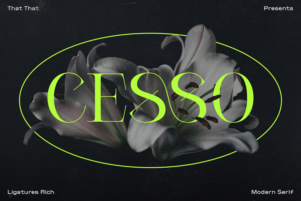 Cesso: Ligature Serif, a Serif Font by That That Creative (Photo 1 of 17)