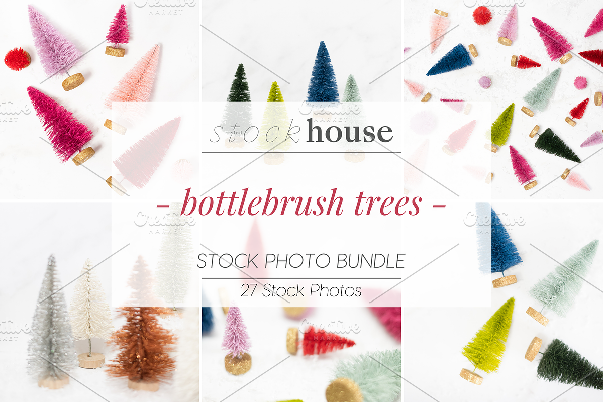 Bottlebrush Trees Styled Stock Bundl, a Holiday Photo by Styled Stock House (Photo 1 of 3)