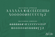 Beezle Modern Serif Font, a Serif Font by Idea Studio (Thumbnail 7 of 10)