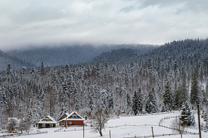 Countryside hills, groves and farmlands in winter remote alpine, a Nature Photo by YuriyB