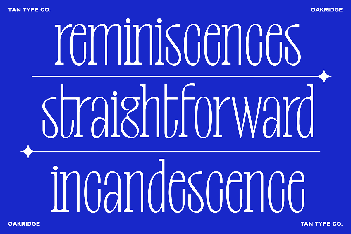 TAN-OAKRIDGE, a Sans Serif Font by TanType (Photo 4 of 10)