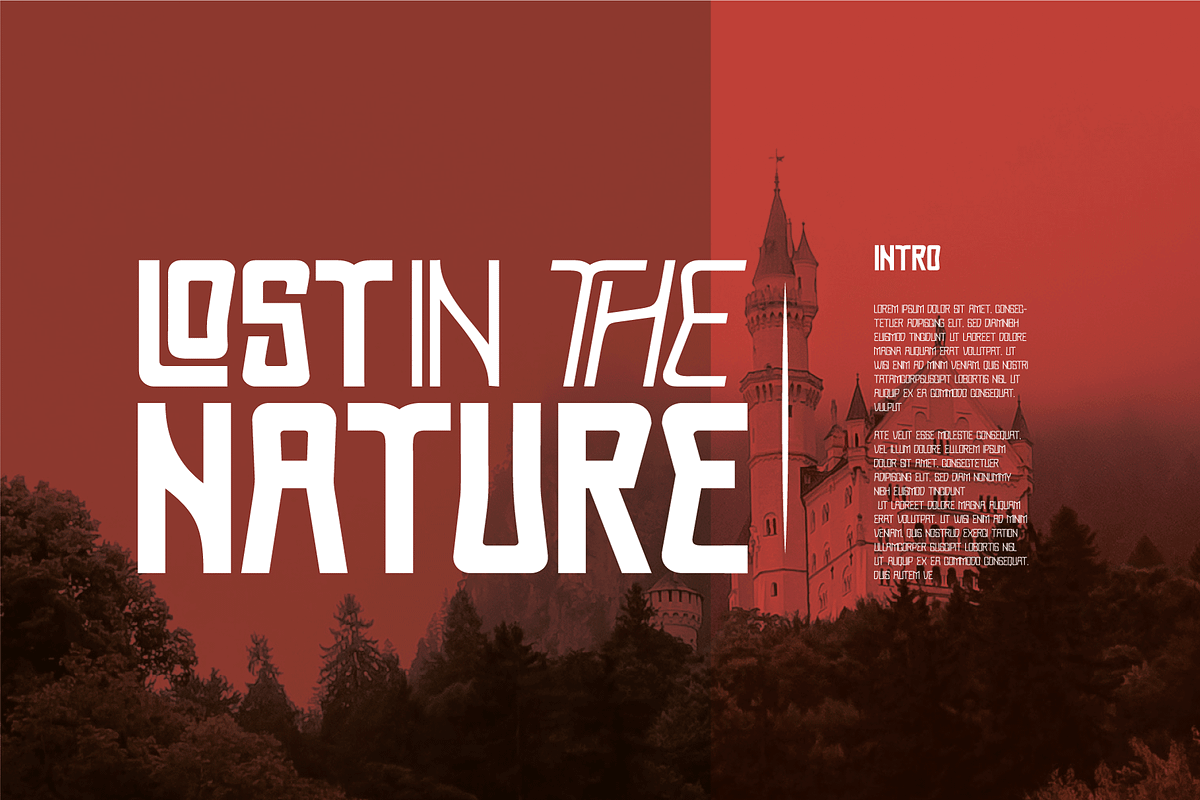 Proach Font, a Serif Font by Grontype (Photo 5 of 12)