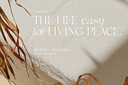 Frunchy Sage - Modern Serif Family, a Serif Font by Sans & Sons (Thumbnail 3 of 11)