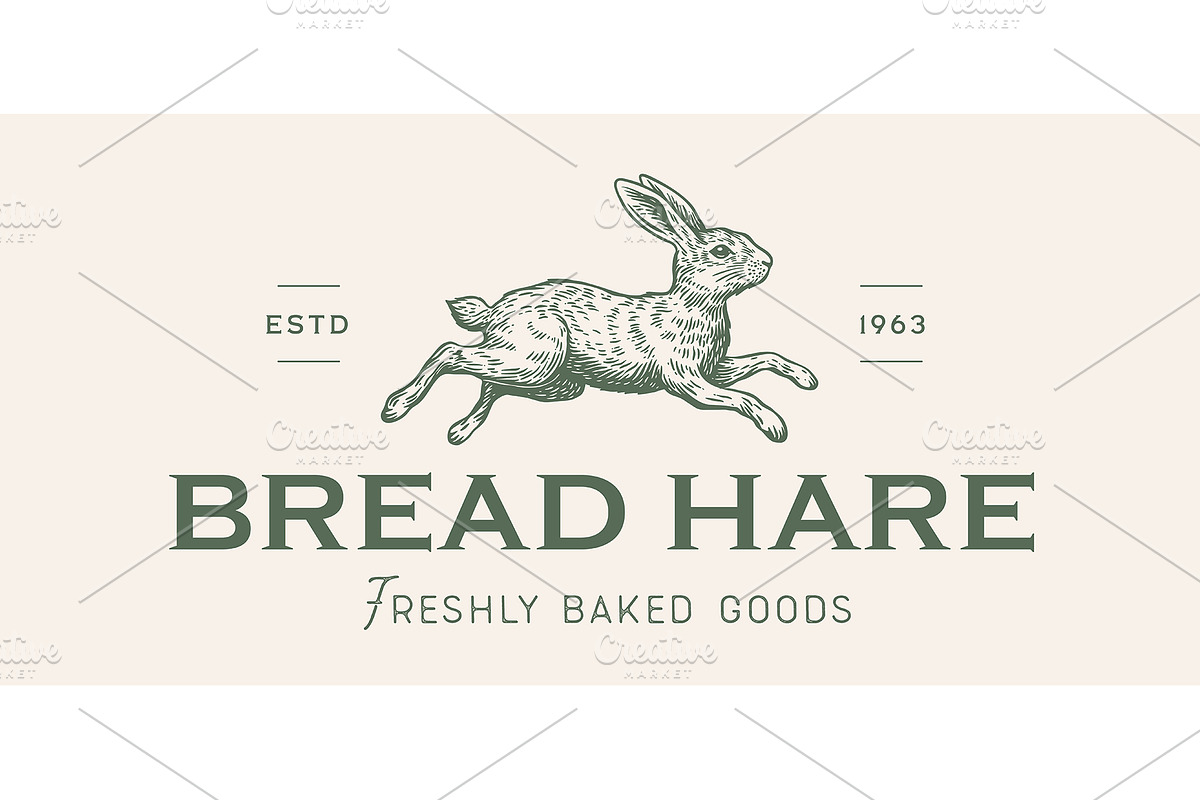 Hare, rabbit sketch, a Food Illustration by Foxys Graphic (Photo 1 of 3)