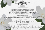 Willow Bloom modern calligraphy font, a Script Font by Angele Kamp (Thumbnail 5 of 6)