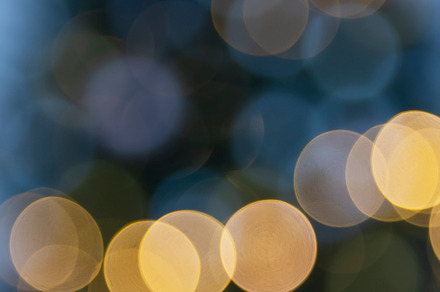 Blurred view of  Christmas tree, a Holiday Photo by Olena Rudo