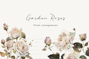 Garden Roses