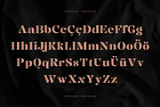 Luminous Luxury Serif Font, a Serif Font by Wencory (Thumbnail 2 of 4)