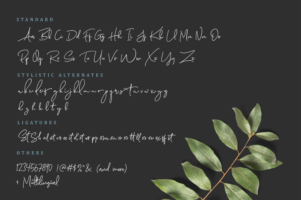 Scarlette Script, a Script Font by Sarid Ezra (Photo 12 of 12)