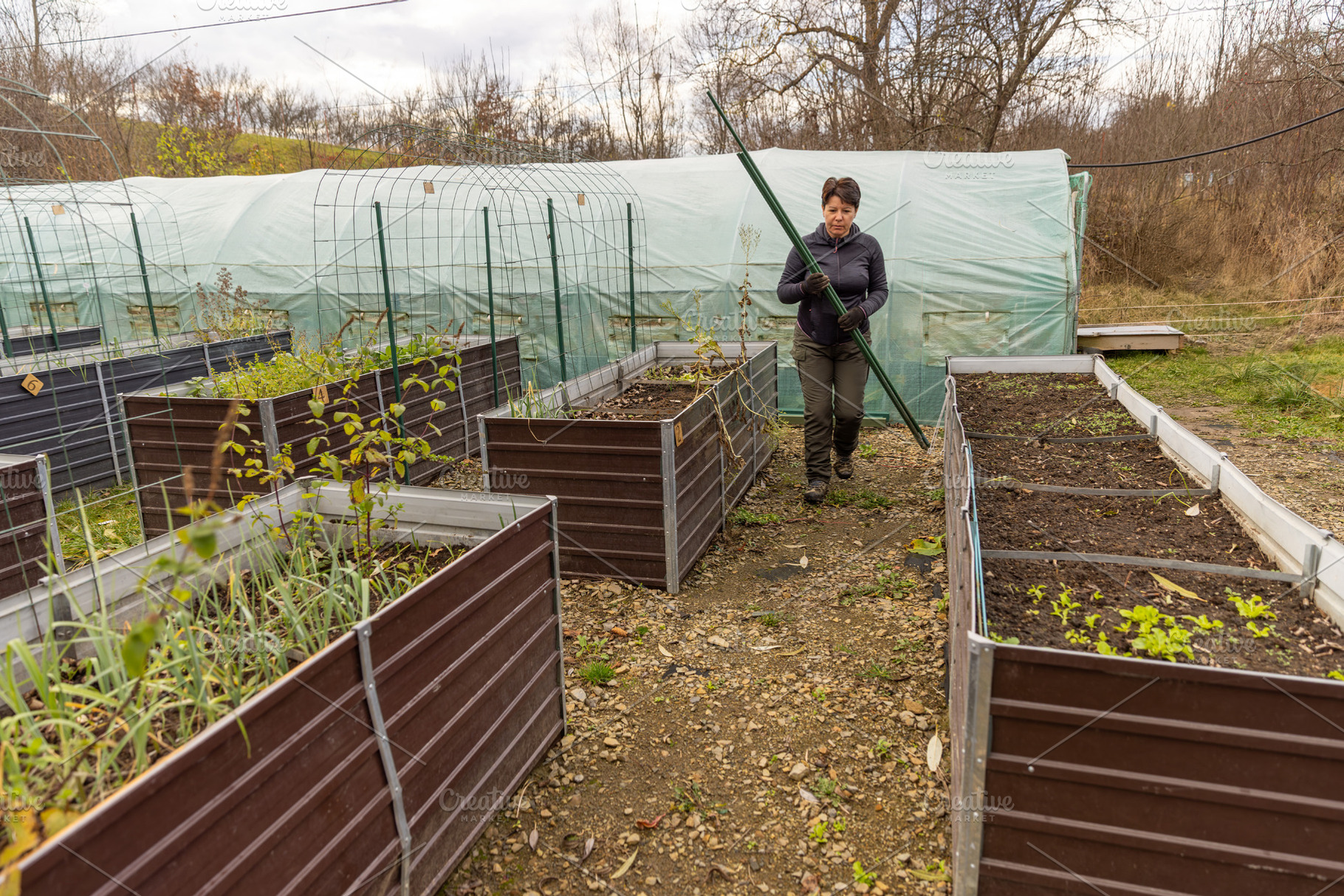 Woman gardening in an outdoor farm, a Photo by Grafvision photography