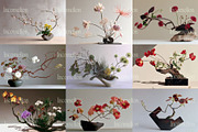 45 Japanese Ikebana Flowers Photos, a Nature Photo by Incomelion (Thumbnail 8 of 13)