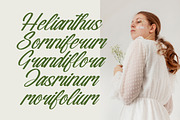 Nostalgic Pictures Calligraphy Font, a Script Font by Letterena Studios Script (Thumbnail 11 of 15)
