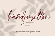 Sidneyland, a Script Font by Ibrahima_Studio (Thumbnail 10 of 13)