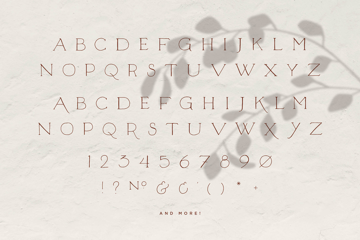 Unlikely Lily - A Hand-Drawn Serif preview 3